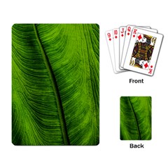 Green-leaf-plant-freshness-color Playing Cards Single Design (rectangle) by Bedest