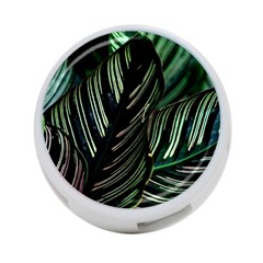 Calathea Leaves Strippe Line 4-port Usb Hub (one Side) by Ravend