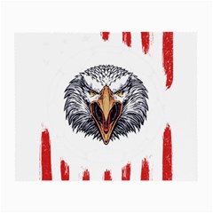 Usa Soccer T- Shirt U S A Patriotic American Flag Soccer Ball Football T- Shirt (1) Small Glasses Cloth (2 Sides) by ZUXUMI
