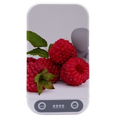 Fruit-healthy-vitamin-vegan Sterilizers by Ket1n9