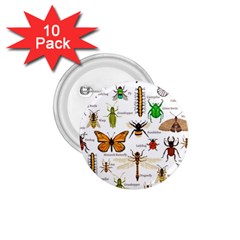 Insects-seamless-pattern 1 75  Buttons (10 Pack) by Amaryn4rt