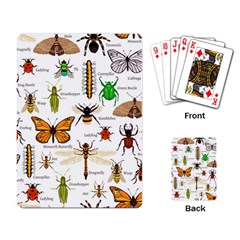 Insects-seamless-pattern Playing Cards Single Design (rectangle) by Amaryn4rt