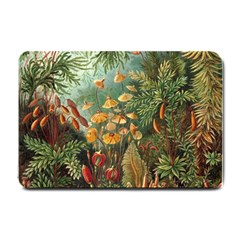 Moose Eurhynchium Haeckel Muscinae Small Doormat by Pakjumat