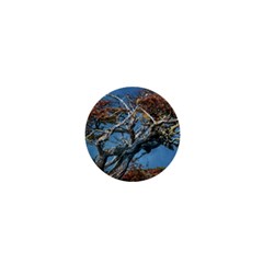Botanical Wonders Of Argentina  1  Mini Buttons by dflcprintsclothing