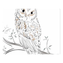 Owl Bird Wildlife Bird Of Prey Two Sides Premium Plush Fleece Blanket (large) by Modalart