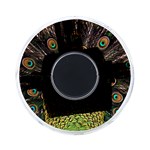 Peacock Feathers Wheel Plumage On-the-Go Memory Card Reader Back