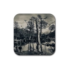 Dry Forest Landscape, Tierra Del Fuego, Argentina Rubber Coaster (square) by dflcprintsclothing