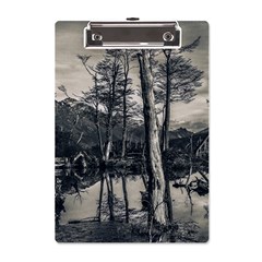 Dry Forest Landscape, Tierra Del Fuego, Argentina A5 Acrylic Clipboard by dflcprintsclothing