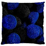 Raspberry One Edge Standard Premium Plush Fleece Cushion Case (Two Sides) Front