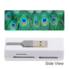 Feather, Bird, Pattern, Peacock, Texture Memory Card Reader (stick) by nateshop