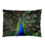 Peacock Bird Feathers Pheasant Nature Animal Texture Pattern Pillow Case 26.62 x18.9  Pillow Case
