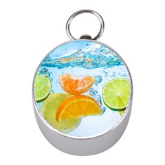 Fruits, Fruit, Lemon, Lime, Mandarin, Water, Orange Mini Silver Compasses by nateshop
