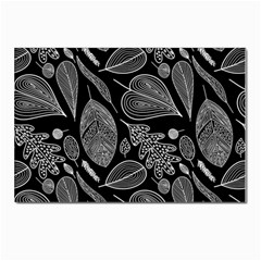 Leaves Flora Black White Nature Postcard 4 x 6  (pkg Of 10) by Maspions