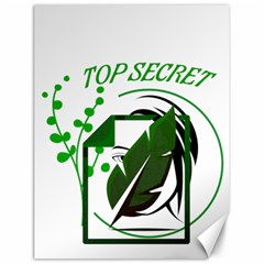 Top Secret Canvas 18  X 24  by Raju