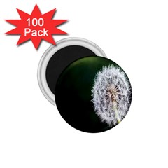 White Flower 1 75  Magnets (100 Pack)  by Azkajaya