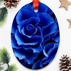 Roses Flowers Plant Romance Ornament (oval) by Proyonanggan