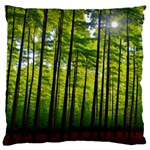 Green Forest Jungle Trees Nature Sunny 16  Baby Flannel Cushion Case (Two Sides) Back