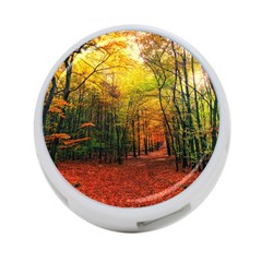 Forest Woods Autumn Nature 4-port Usb Hub (one Side) by Proyonanggan