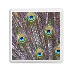 Peacock Bird Feathers Plumage Peacock Memory Card Reader (square) by Perong