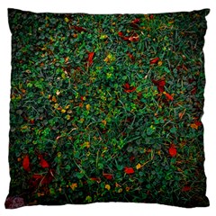 Grass Nature Meadow Large Premium Plush Fleece Cushion Case (two Sides) by Hannah976