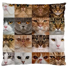 Breeds Of Cats Collage Standard Premium Plush Fleece Cushion Case (one Side) by kyorashop23
