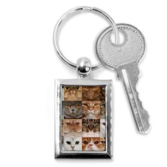 Breeds Of Cats Collage Key Chain (rectangle) by kyorashop23