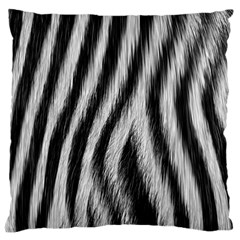 Zebra Texture, Zebra Wool, White Black Background Standard Premium Plush Fleece Cushion Case (one Side) by kyorashop23