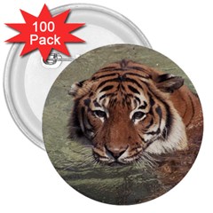 Swimming Tiger 3  Buttons (100 Pack)  by ExtraAwesomeSauce