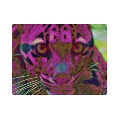 Pink And Purple Leopard Premium Plush Fleece Blanket (mini) by ExtraAwesomeSauce