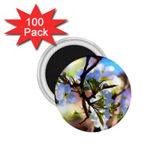 Springtime Pear Tree Blossoms 1 75  Magnets (100 Pack)  by ExtraAwesomeSauce