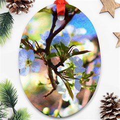 Springtime Pear Tree Blossoms Oval Ornament (two Sides) by ExtraAwesomeSauce