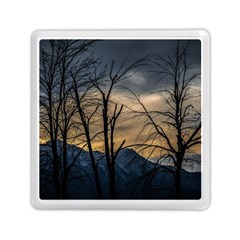 Tree Silhouette At Border Of Nahuel Haupi Lake, Rio Negro, Argentina Memory Card Reader (square) by dflcprintsclothing