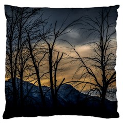 Tree Silhouette At Border Of Nahuel Haupi Lake, Rio Negro, Argentina Large Premium Plush Fleece Cushion Case (two Sides) by dflcprintsclothing