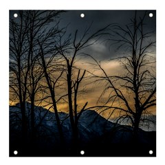 Tree Silhouette At Border Of Nahuel Haupi Lake, Rio Negro, Argentina Banner And Sign 4  X 4  by dflcprintsclothing
