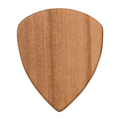 Autumn Fall Plaid Tartan 1 Diagonal Wood Guitar Pick (set Of 10) by dressshop