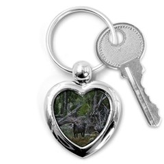 Meadow Landscape, Los Altares, Chubut Province, Argentina Key Chain (heart) by dflcprintsclothing