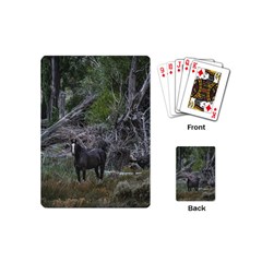 Meadow Landscape, Los Altares, Chubut Province, Argentina Playing Cards Single Design (mini) by dflcprintsclothing