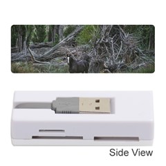 Meadow Landscape, Los Altares, Chubut Province, Argentina Memory Card Reader (stick) by dflcprintsclothing