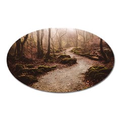 Path Trees Forest Fantasy Oval Magnet by Anend