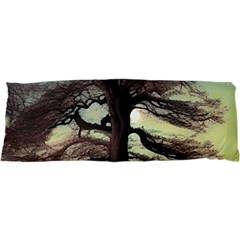 Nature Outdoors Cellphone Wallpaper Background Artistic Artwork Starlight Book Cover Wilderness Land 47 x17  Body Pillow Case Dakimakura (two Sides) by Posterlux