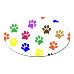 Pawprints Paw Prints Paw Animal Oval Magnet by Anend